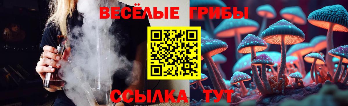Тольятти  Псилоцибиновые грибы ЛСД  Вход с VPN  Галлюциногенные грибы MAGIC MUSHROOMS 